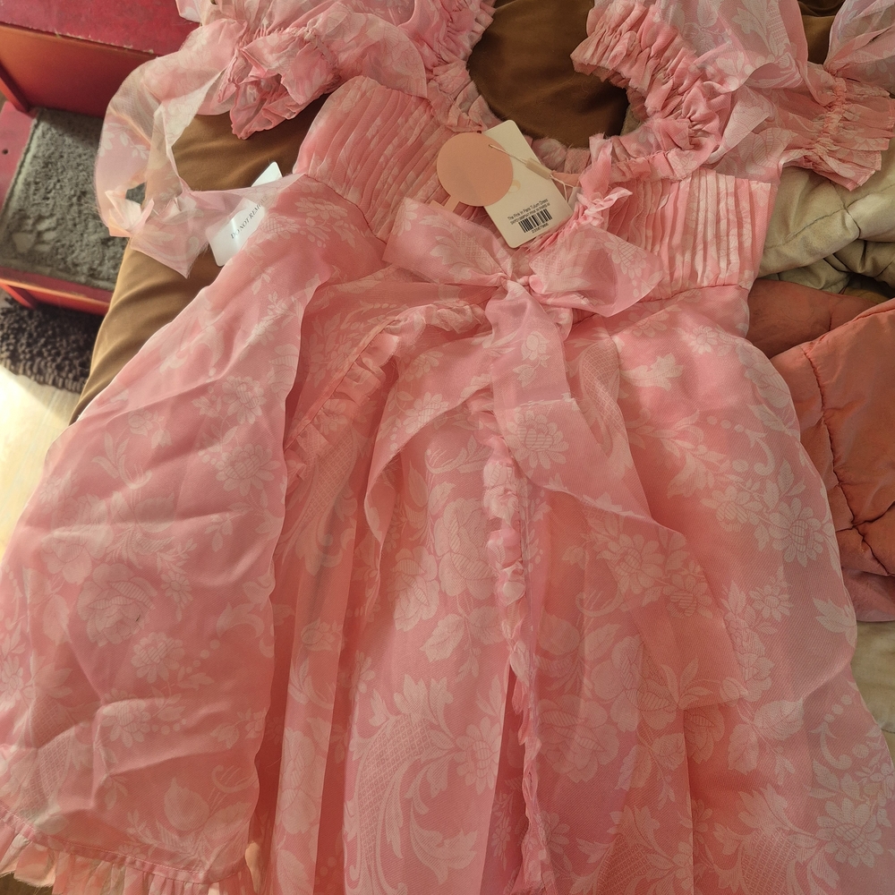 Selkie Blushed Pink Floral Organza Mini Dress - Picture 3 of 5